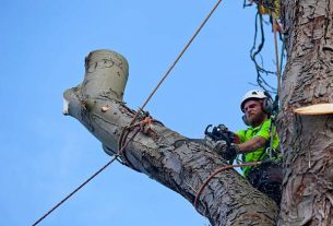 Reliable Tree Removal for Storm-Damaged Trees