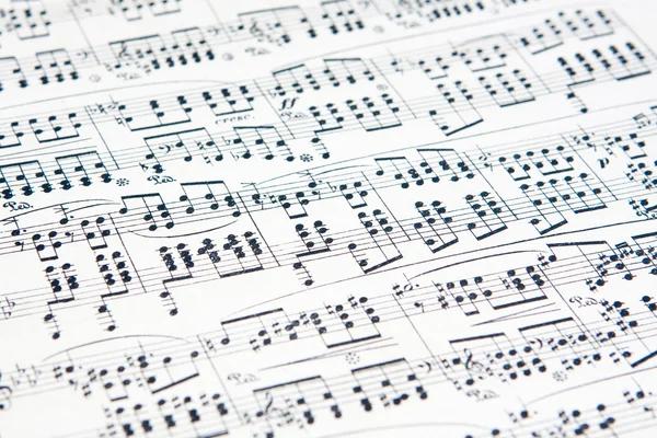 Exploring Different Vocal Registers to Enhance Musical Expression